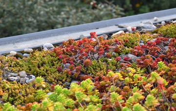 the cost of Carlton In Cleveland green roof installation