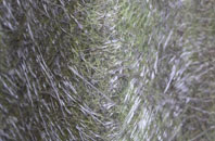 Carlton In Cleveland fibreglass roof work